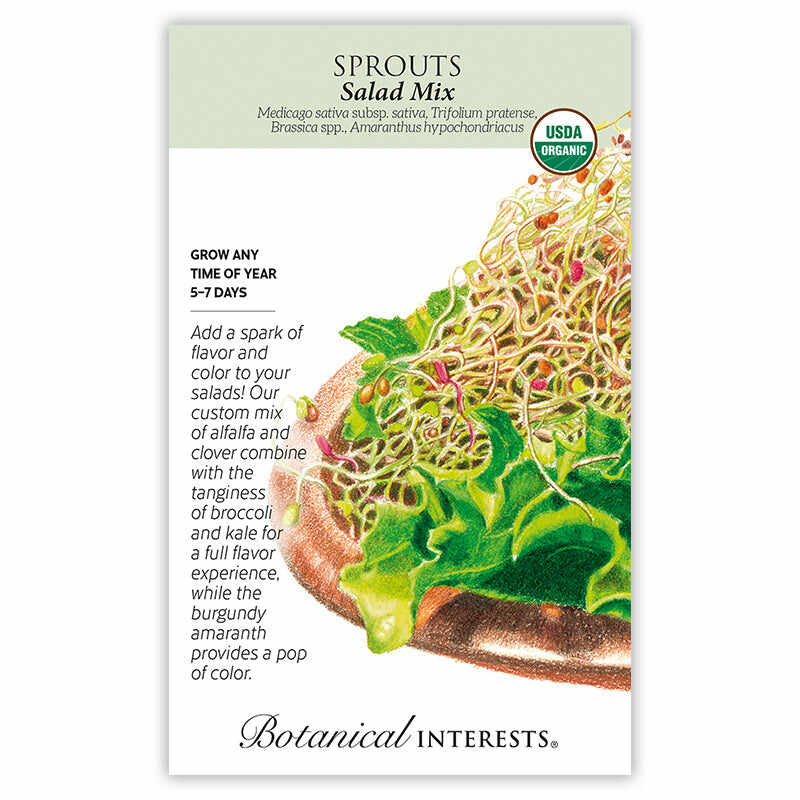 Salad Mix Sprouts Seeds - Image 2