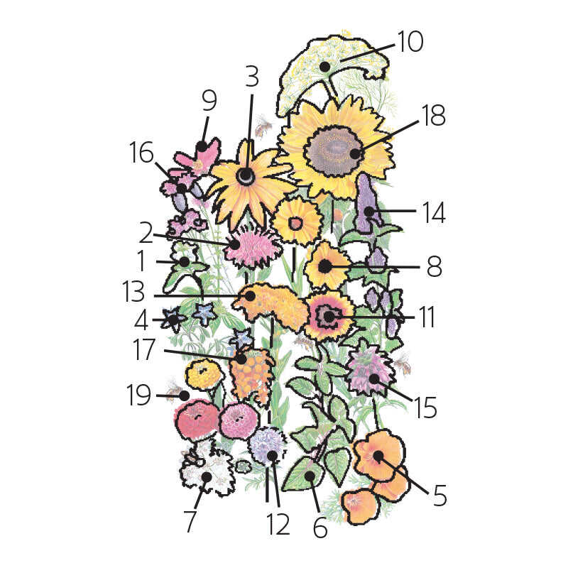 Save the Bees Flower Mix Seeds - Image 3