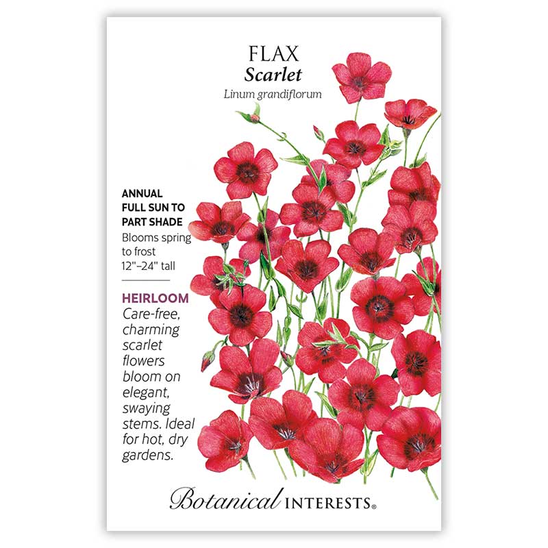 Scarlet Flax Heirloom Seeds - Image 3