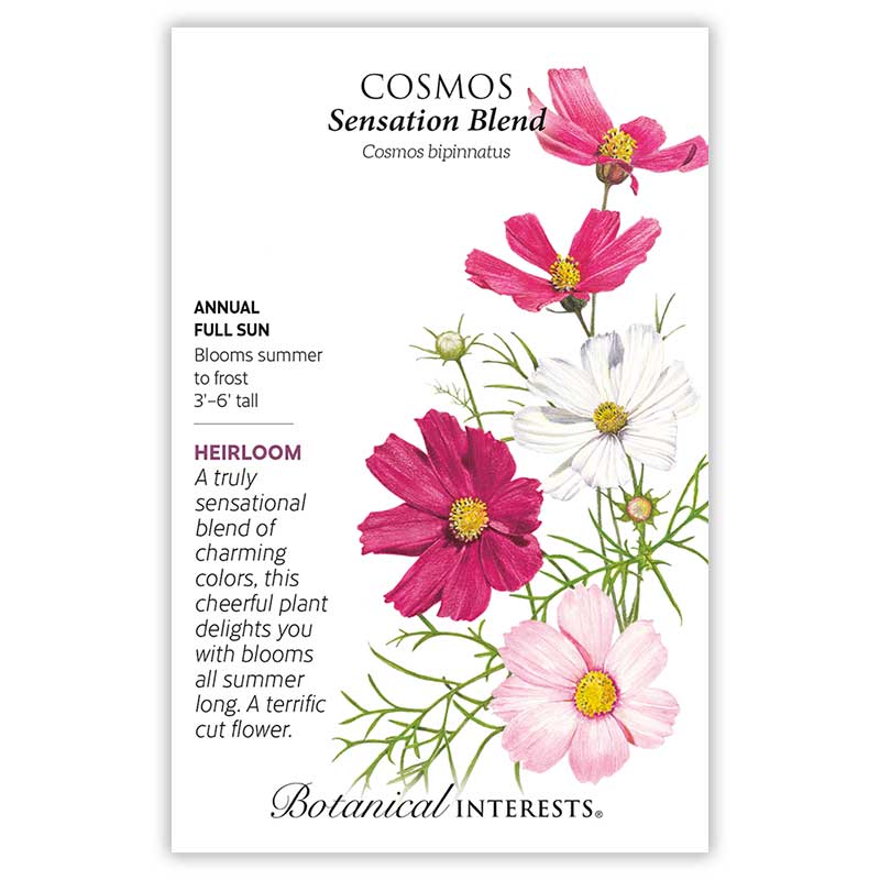 Sensation Blend Cosmos Seeds - Image 3