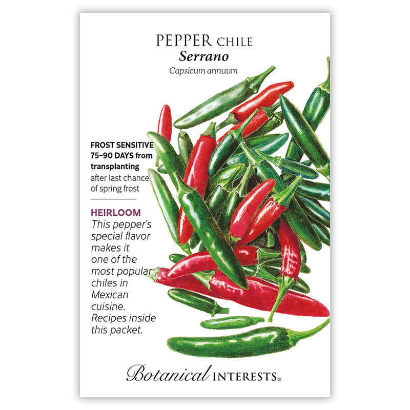 Serrano Chile Pepper Seeds - Image 3