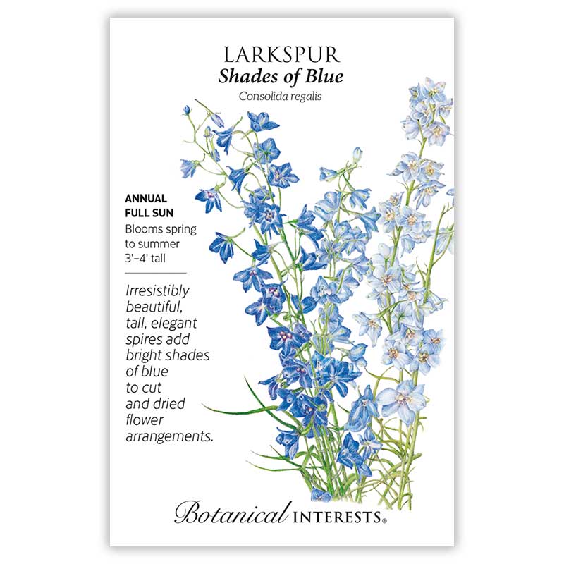 Shades of Blue Larkspur Seeds - Image 3