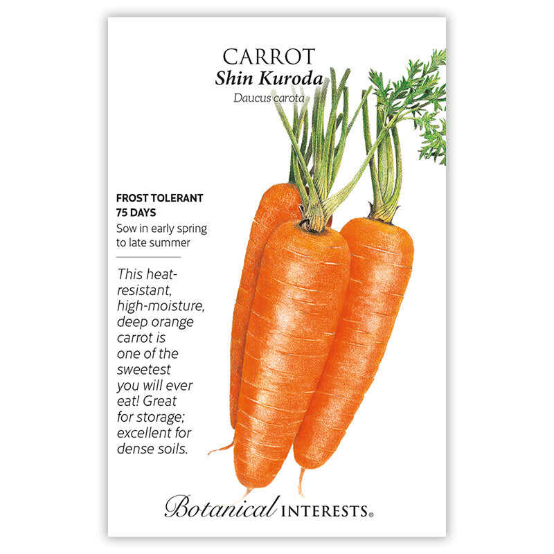 Shin Kuroda Carrot Seeds - Image 3