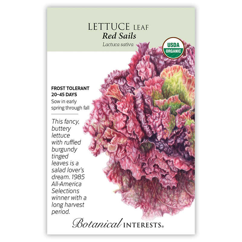 Simply Salad - Image 2