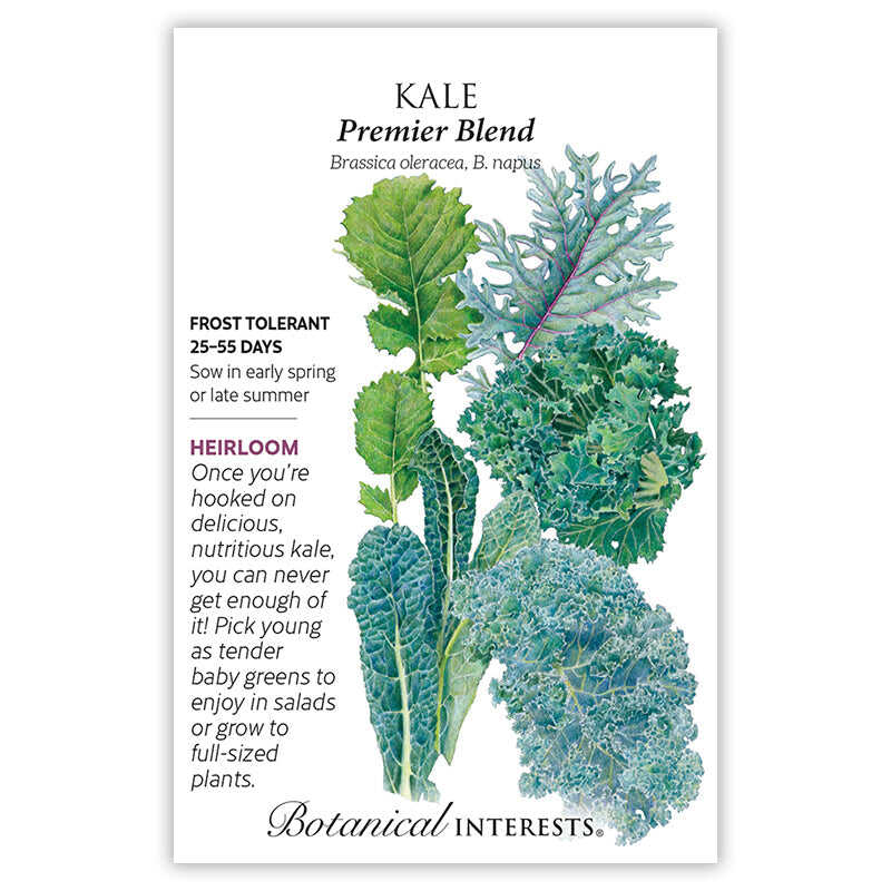 Simply Salad - Image 5
