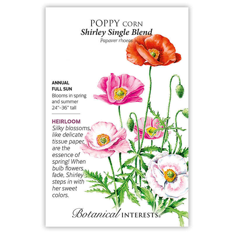 Shirley Single Blend Corn Poppy Seeds - Image 3