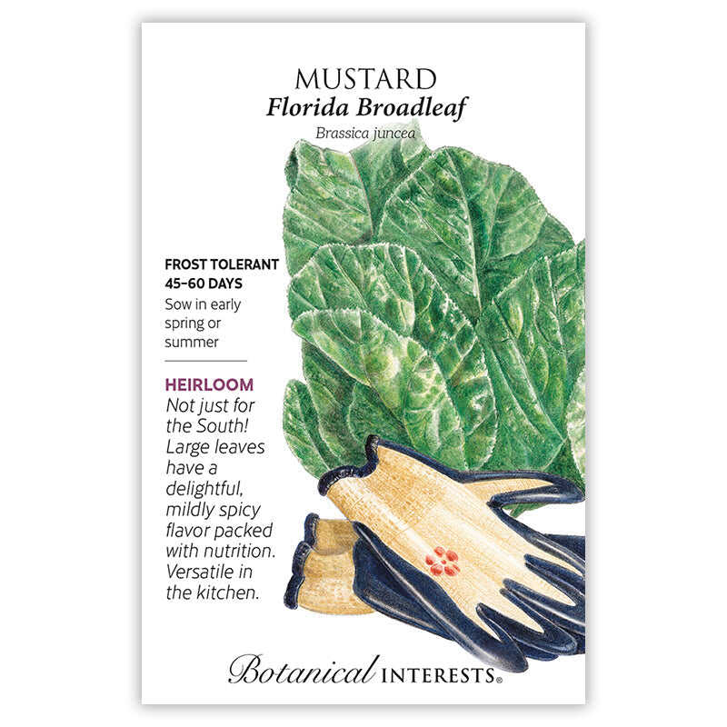 Florida Broadleaf Mustard Seeds - Image 3