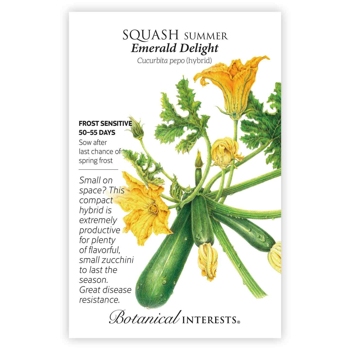 The Beginner’s Garden Seed Bundle - Image 8