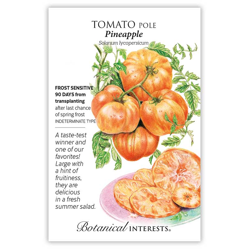 Pineapple Pole Tomato Seeds - Image 3