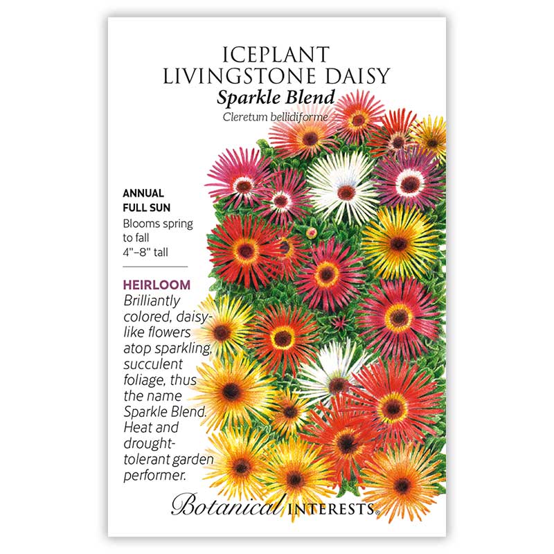 Sparkle Blend Iceplant (Livingstone Daisy) Seeds - Image 3