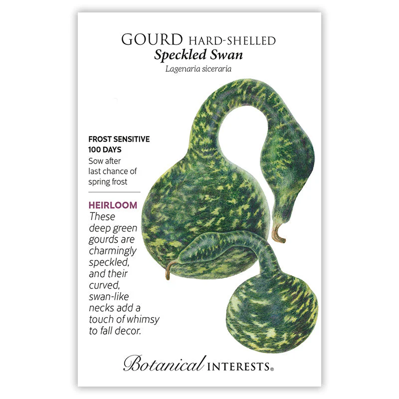 Speckled Swan Hard-shelled Gourd Seeds - Image 3