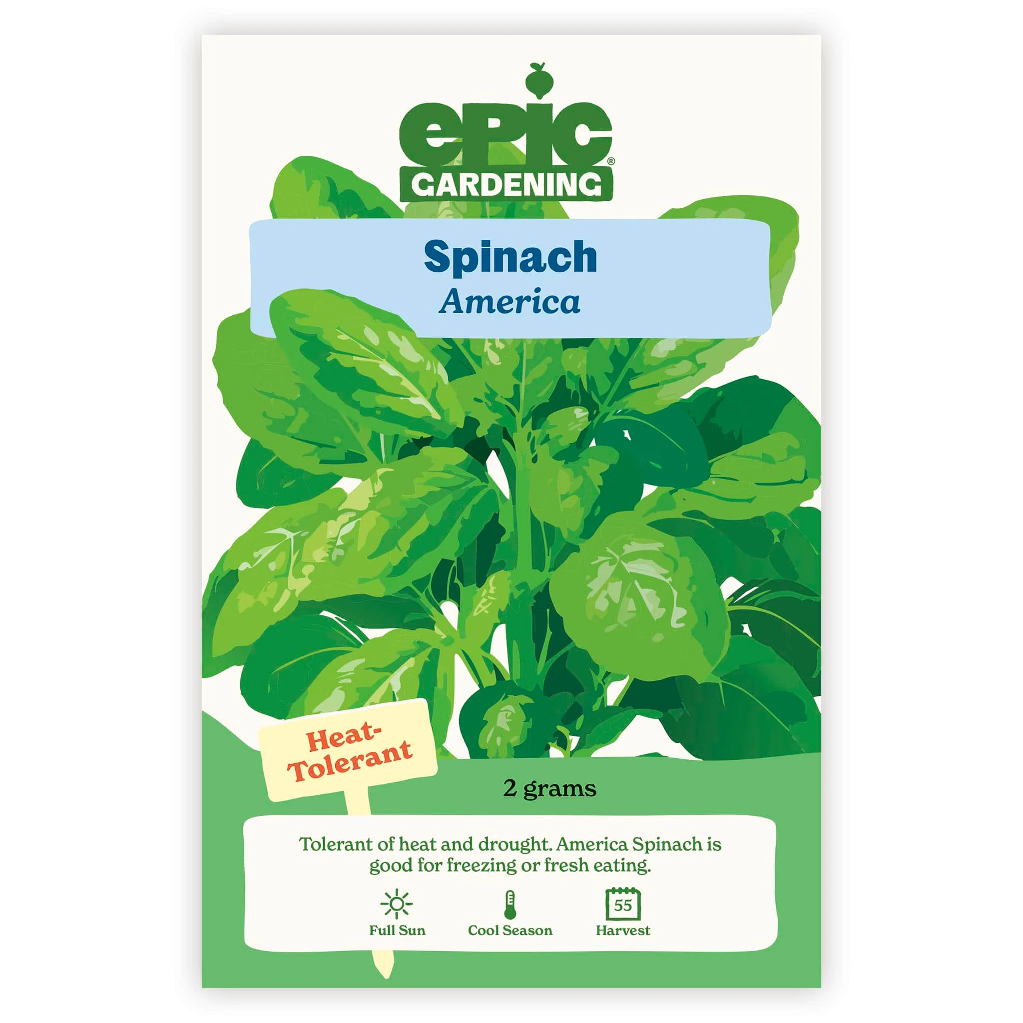 America Spinach - Image 2
