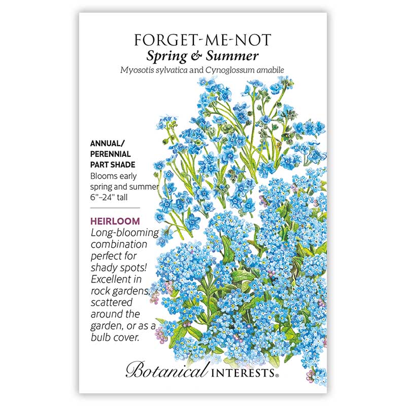 Spring and Summer Forget-Me-Not Seeds - Image 3