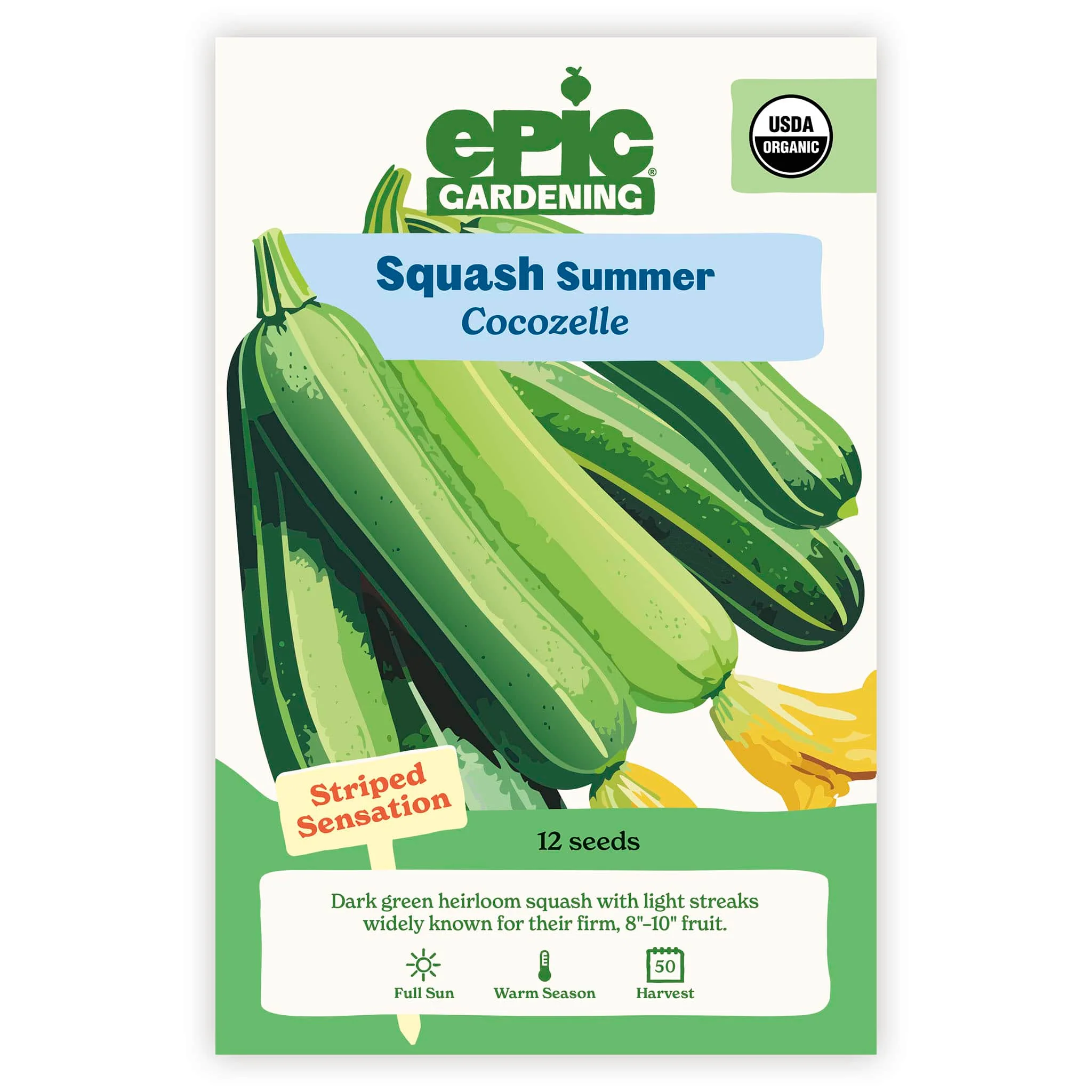 Cocozelle Summer Squash - Image 2