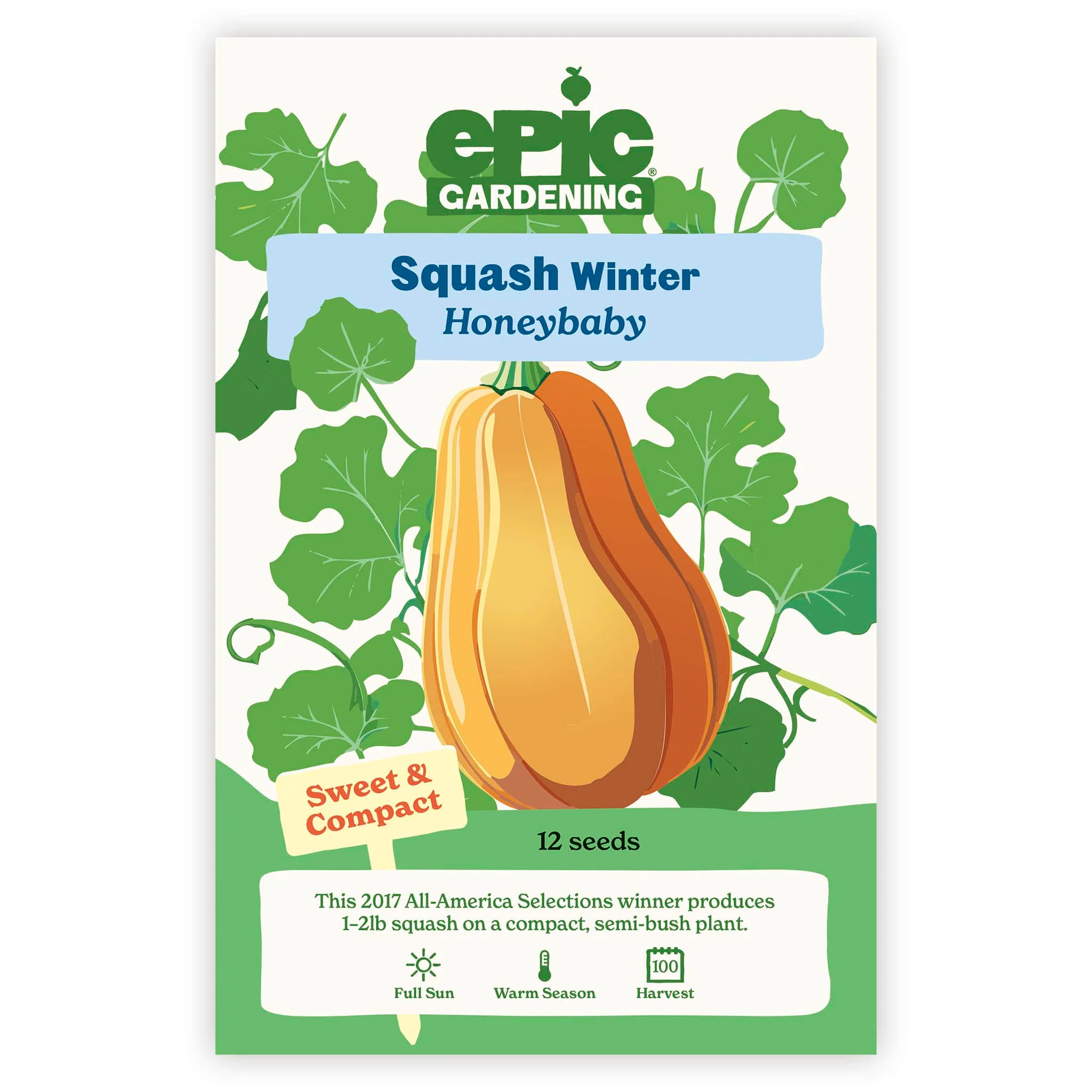 Honeybaby Winter Squash - Image 2