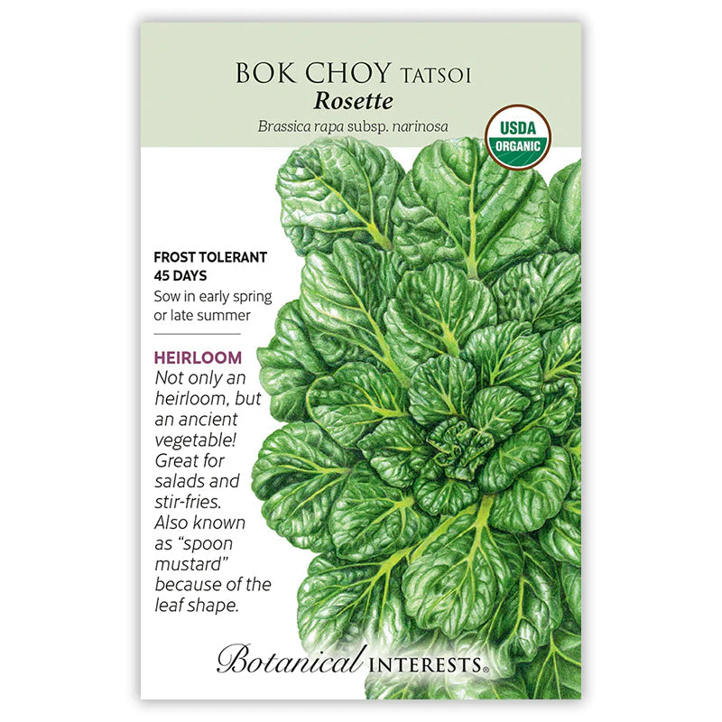 Rosette Tatsoi Bok Choy Seeds - Image 3