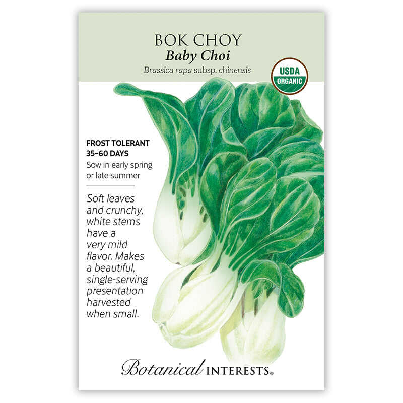 Baby Choi Bok Choy Seeds - Image 3
