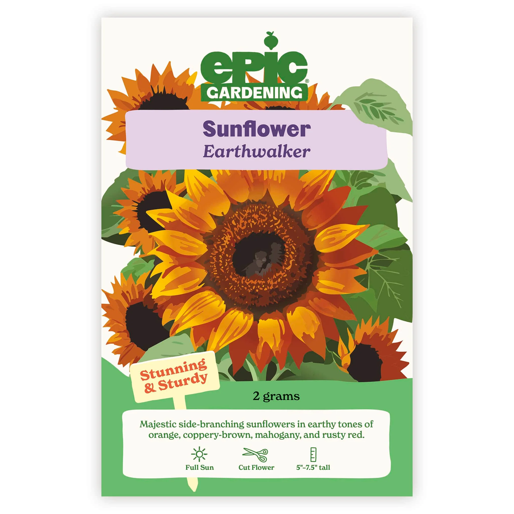 Earthwalker Sunflower - Image 2