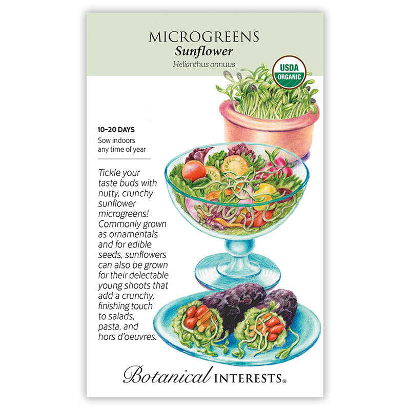 Sunflower Microgreens Seeds - Image 3