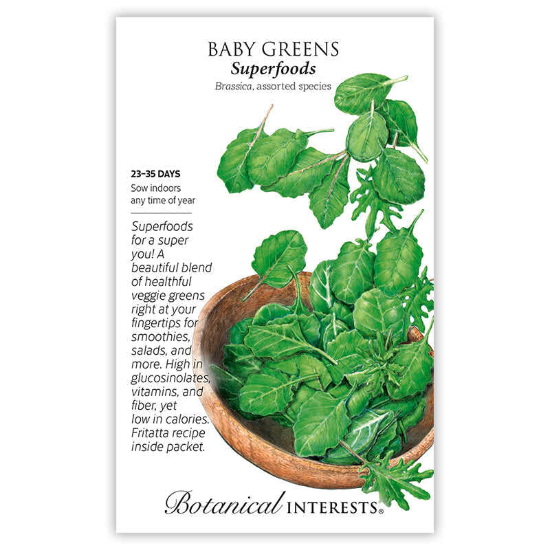 Superfoods Baby Greens Seeds - Image 3
