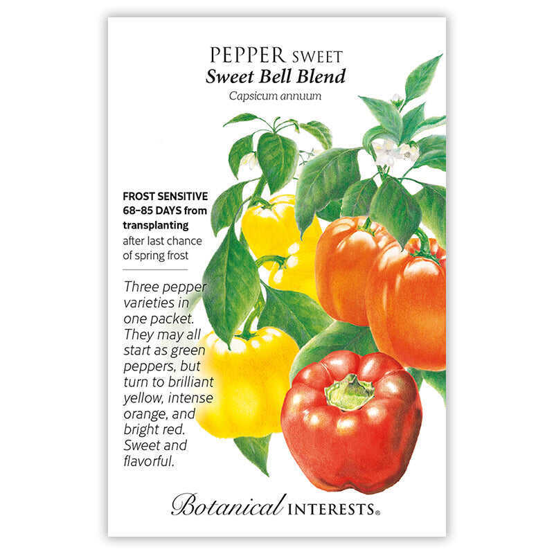 Sweet Bell Blend Sweet Pepper Seeds - Image 3