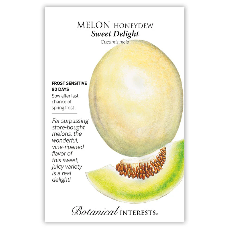 Sweet Delight Honeydew Melon Seeds - Image 3