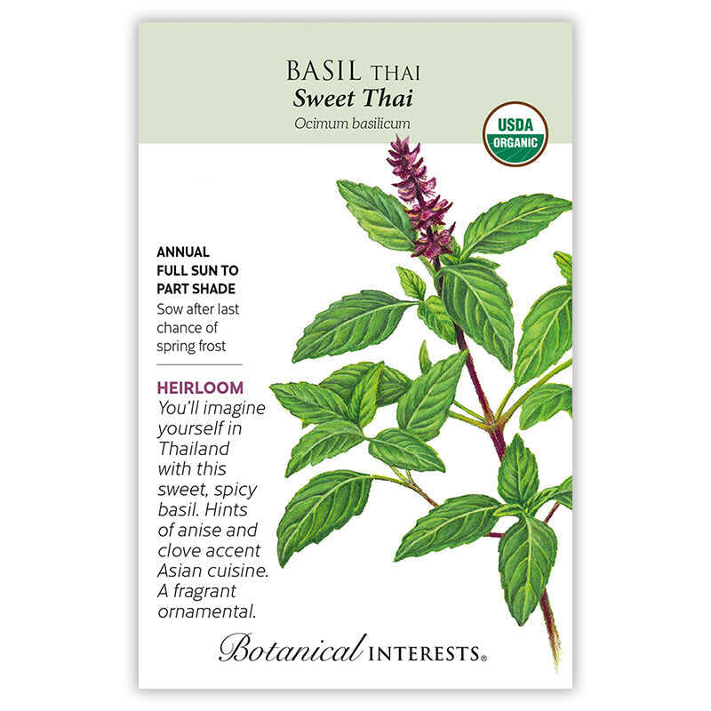 Sweet Thai Basil Seeds - Image 3