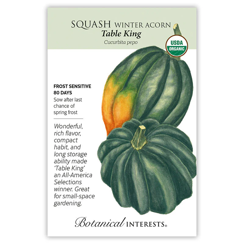 Table King Acorn Winter Squash Seeds - Image 3