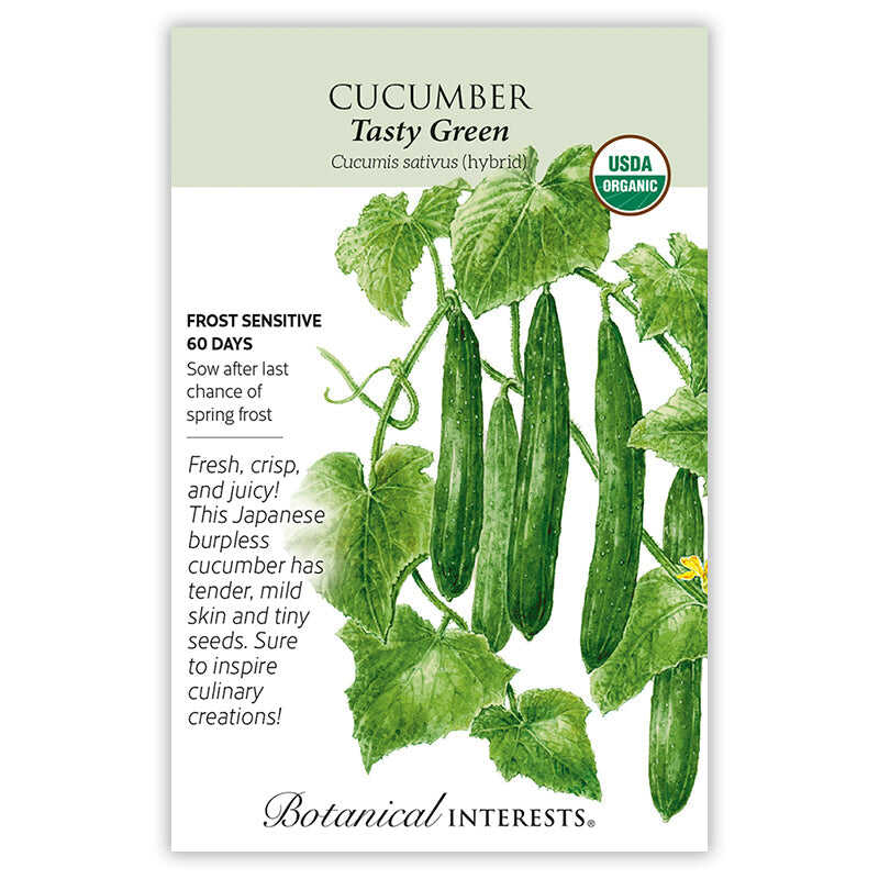 Tasty Green Cucumber Seeds - Image 3