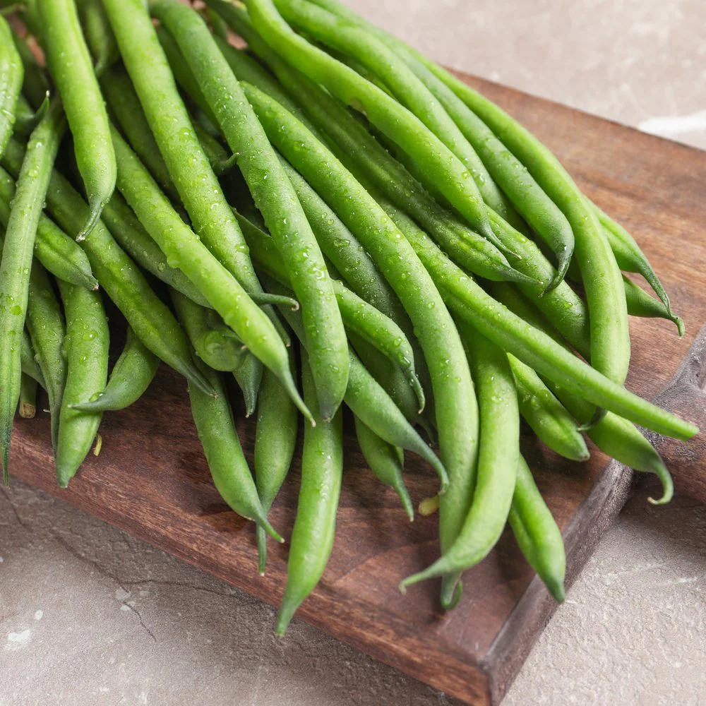 Tavera Filet Bush Bean Seeds - Image 4