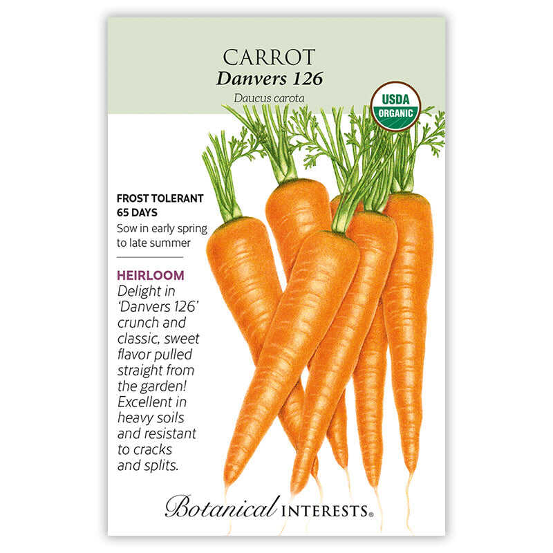 The Beginner’s Garden Seed Bundle - Image 4
