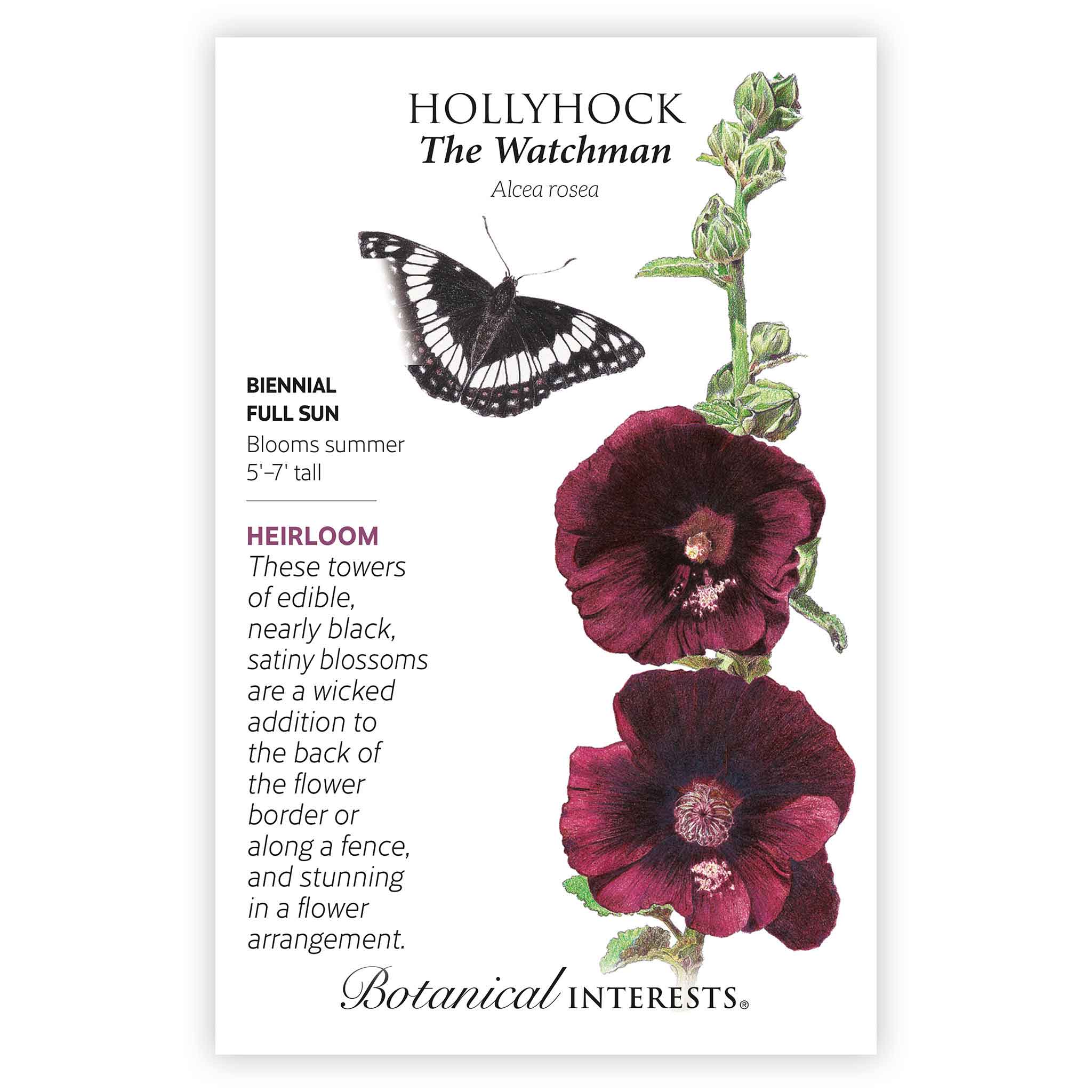 The Watchman Hollyhock Seeds - Image 3