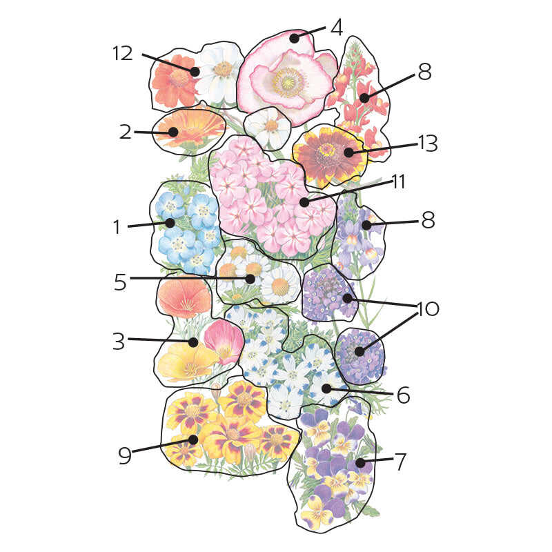 Three-Season Bloom Flower Mix Seeds - Image 3