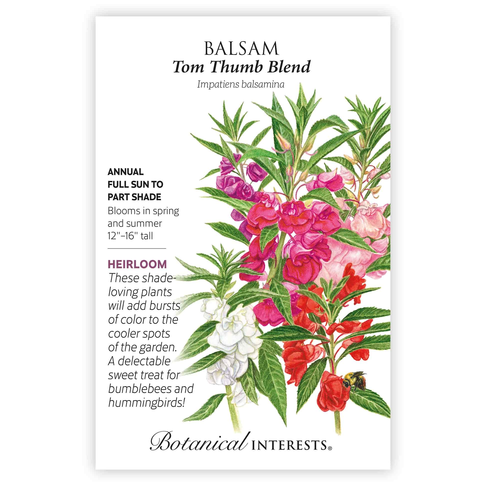 Tom Thumb Blend Balsam Seeds - Image 3