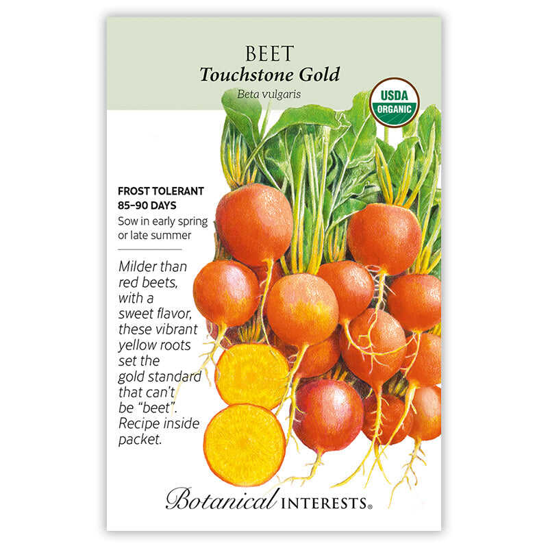 Touchstone Gold Beet Seeds - Image 3