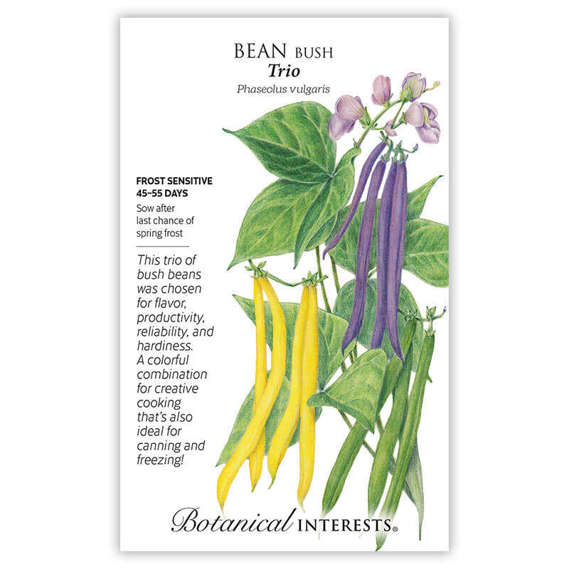 Trio Bush Bean Seeds - Image 3
