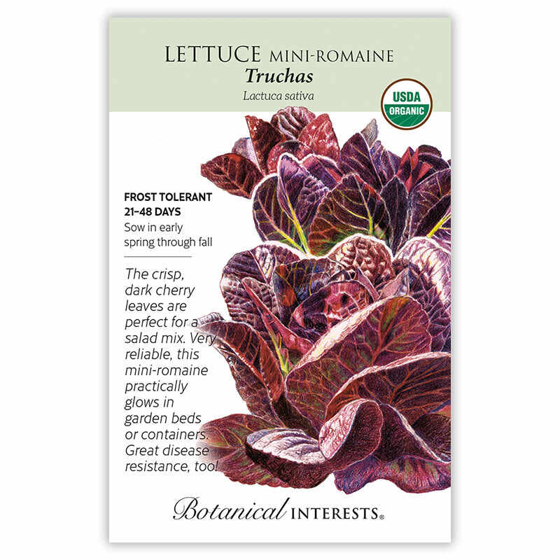 Truchas Mini-Romaine Lettuce Seeds - Image 3