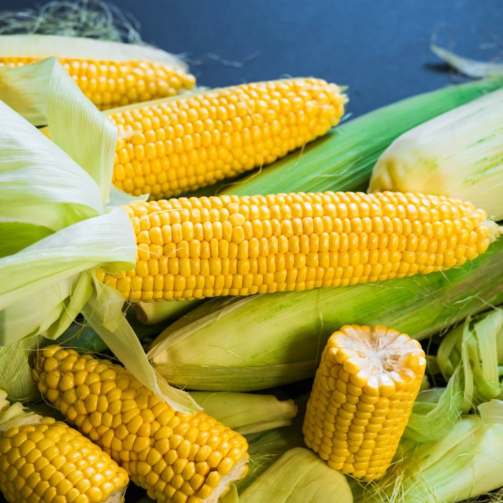 True Gold Sweet Corn Seeds - Image 4