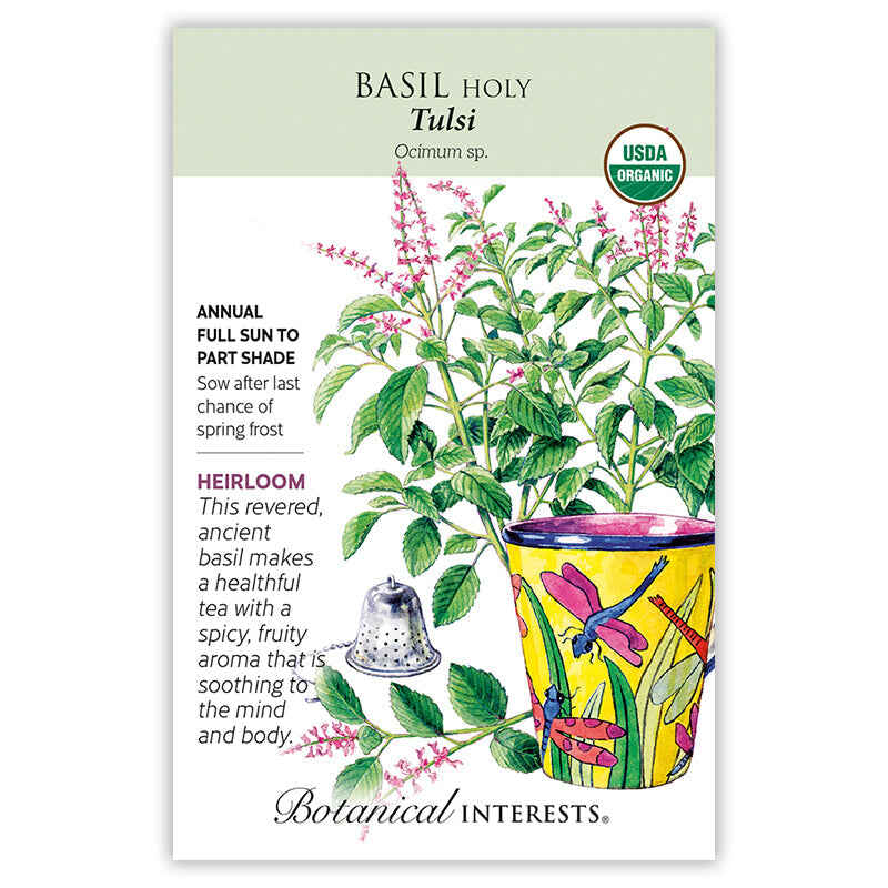Tulsi Holy Basil Seeds - Image 3