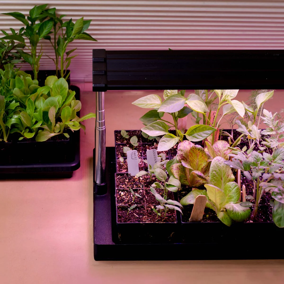 The Ultimate Seed Starting Kit - Image 3