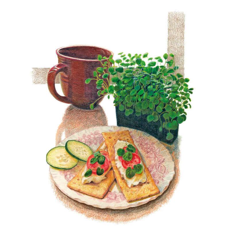 Upland Cress Microgreens Seeds