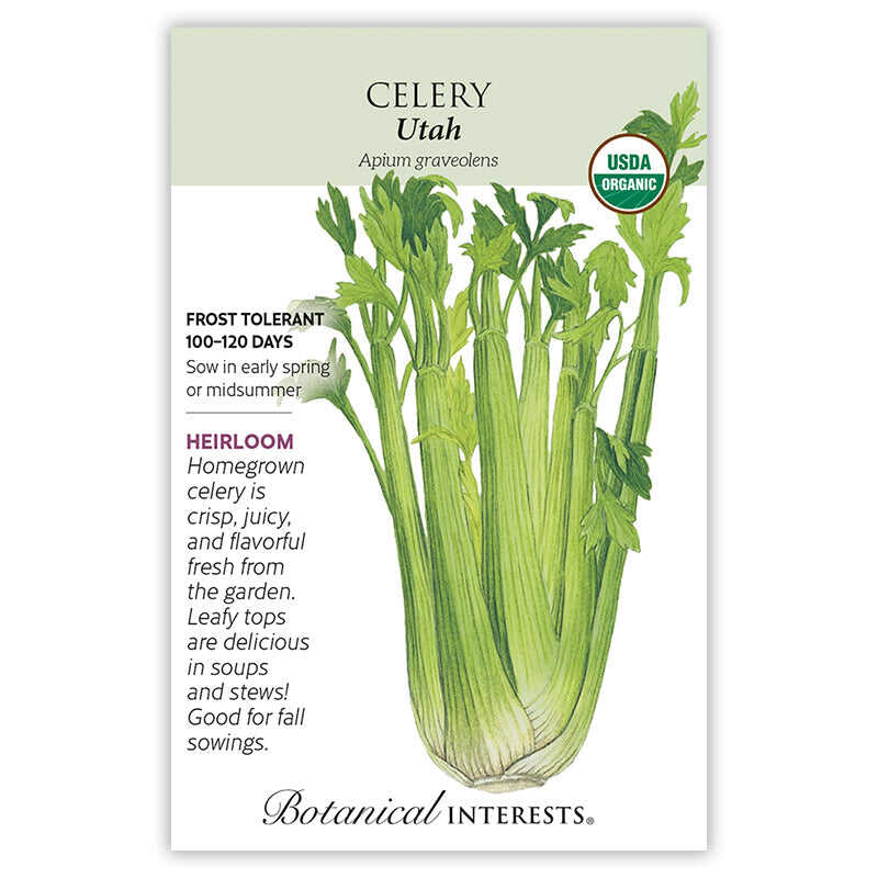 Utah Celery Seeds - Image 3