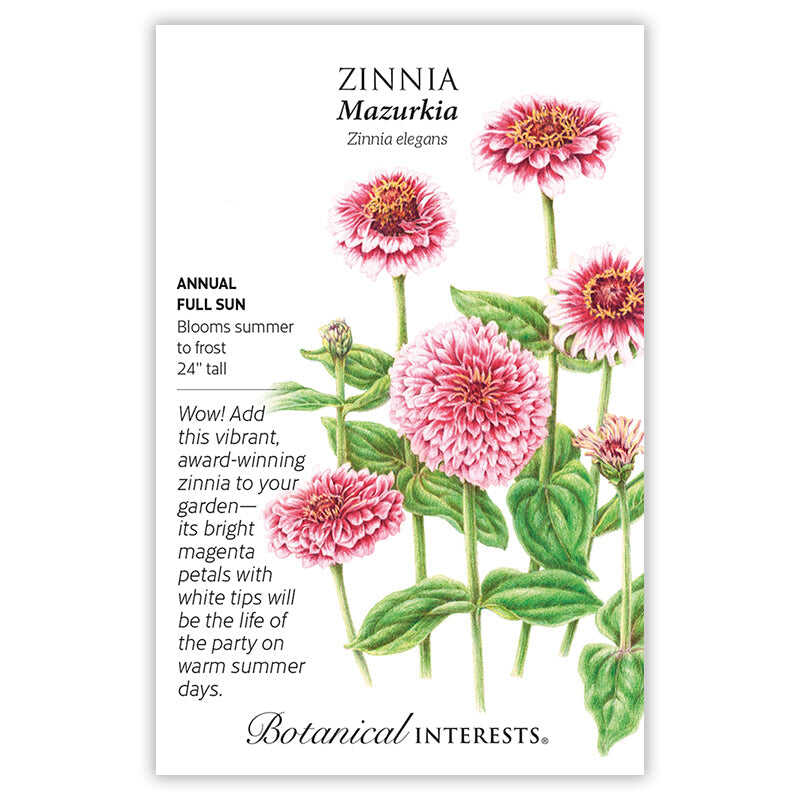 Mazurkia Zinnia Seeds - Image 3