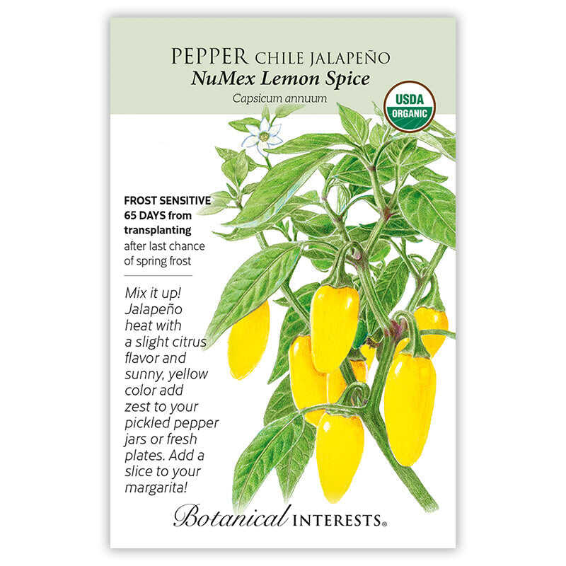 NuMex Lemon Spice Jalapeño Chile Pepper Seeds - Image 3