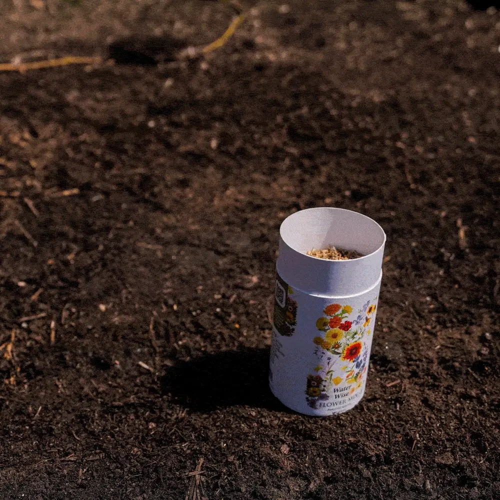 Water Wise Flower Mix Seed Shaker - Image 4