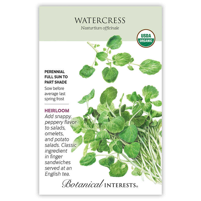 Watercress Seeds - Image 3