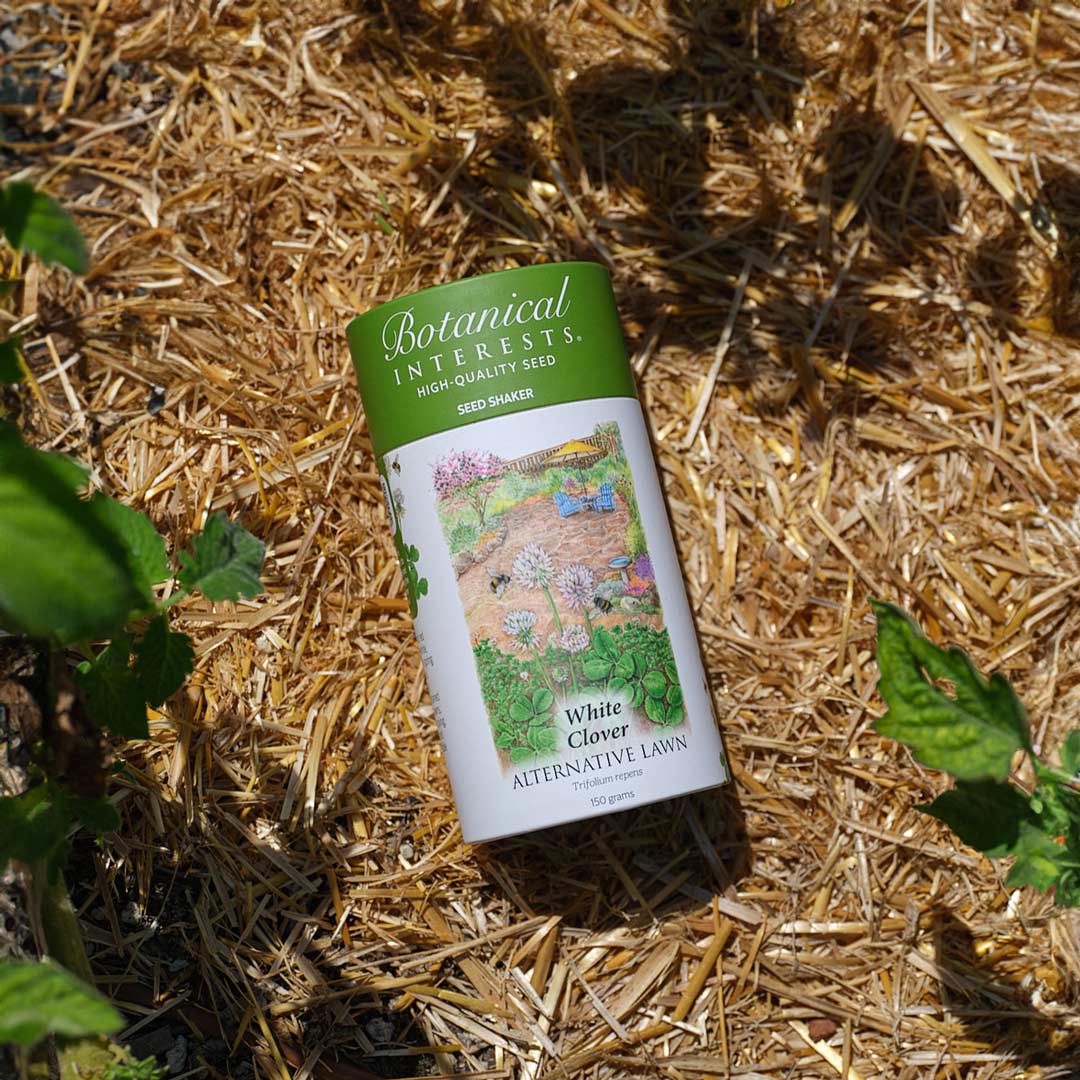 White Clover Alternative Lawn Seed Shaker - Image 4