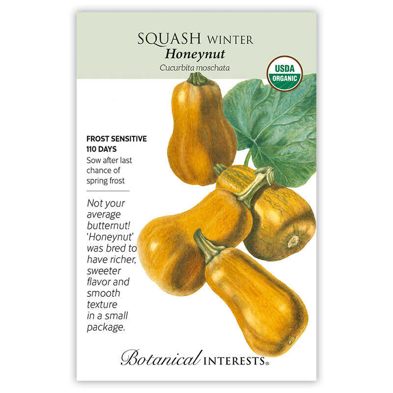 Honeynut Winter Squash Seeds - Image 3