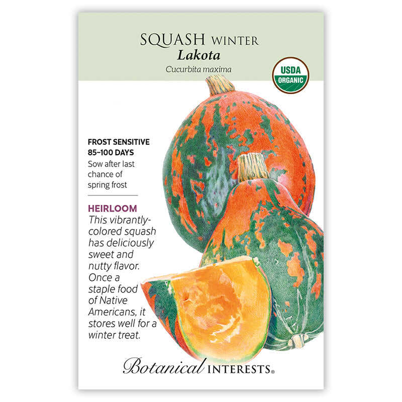 Lakota Winter Squash Seeds - Image 3