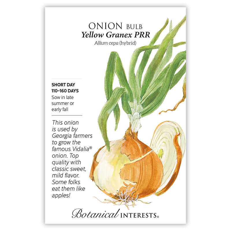 Yellow Granex PRR Bulb Onion Seeds - Image 3